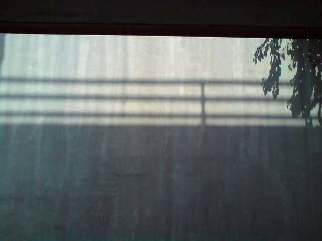 FRIDA EN SOMBRAS